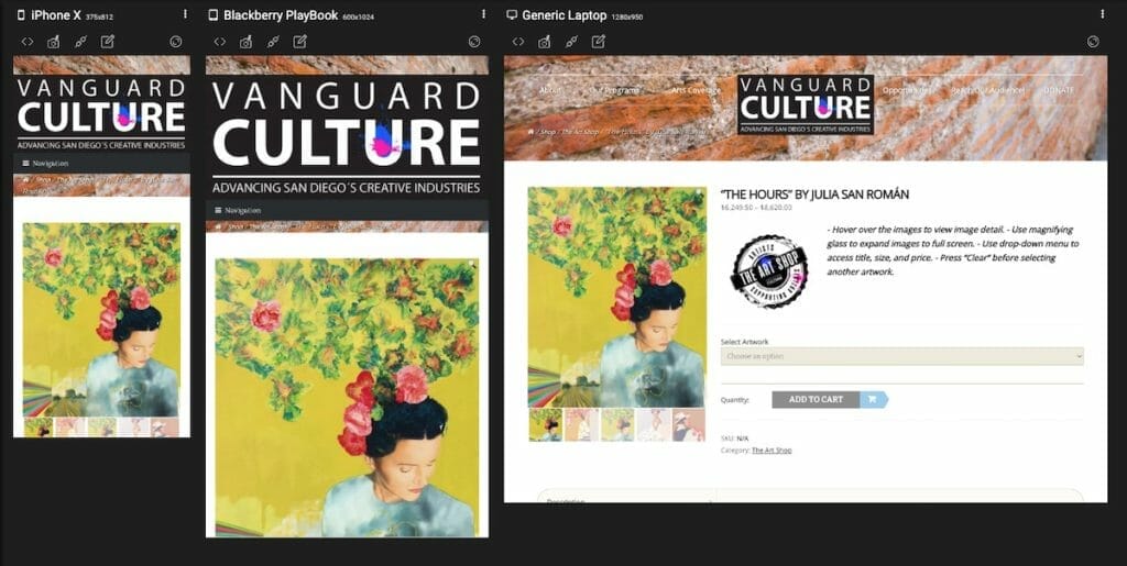Vanguard Culture Shop Responsive